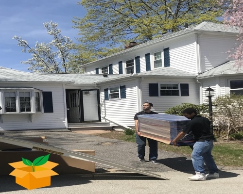 Barre Business Movers