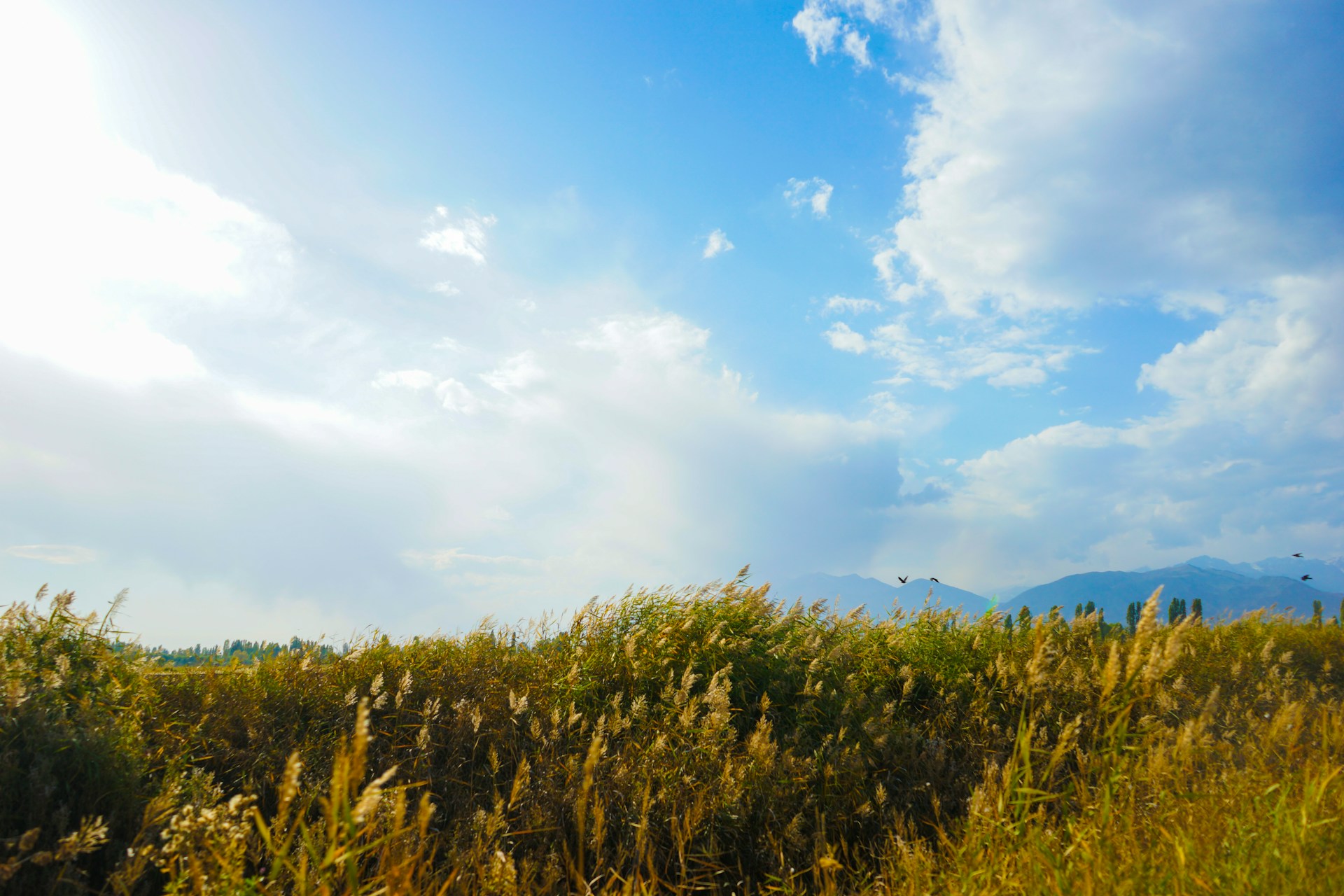 Arizona Less Winter Hassle Easier Daily Logistics Arizona Less Winter Hassle, Easier Daily Logistics