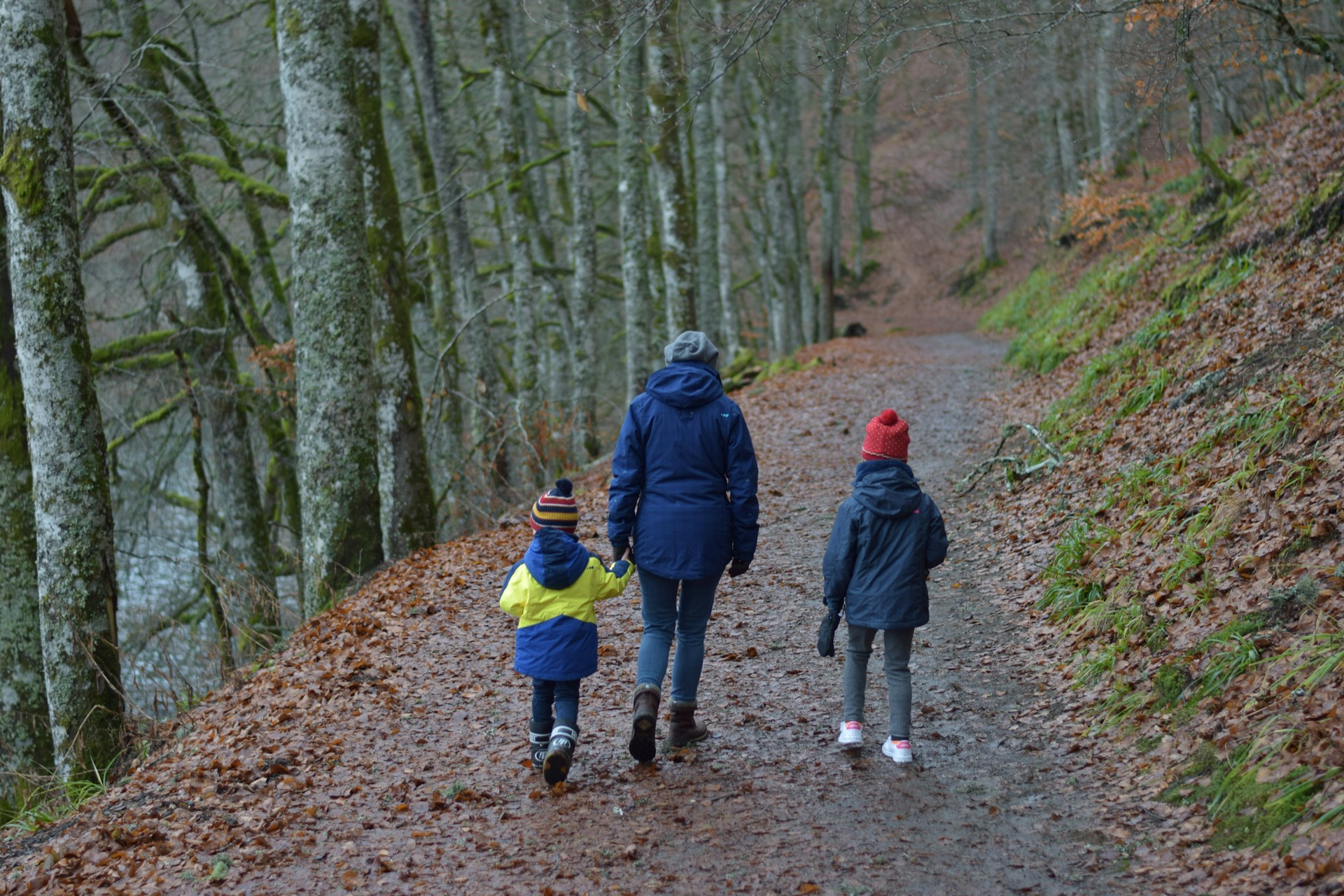 Oregon access to big, varied nature