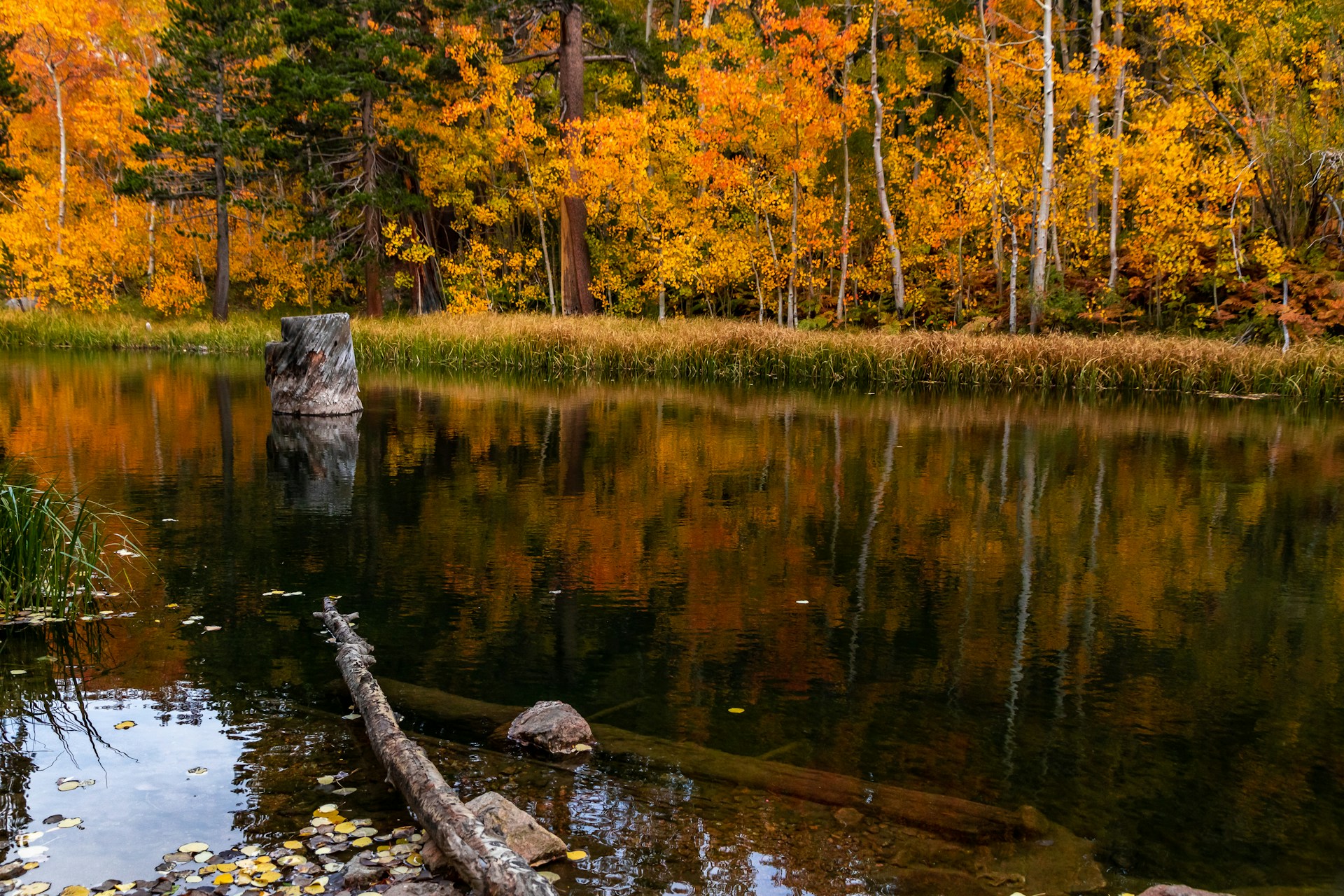 Worcester, MA lakes