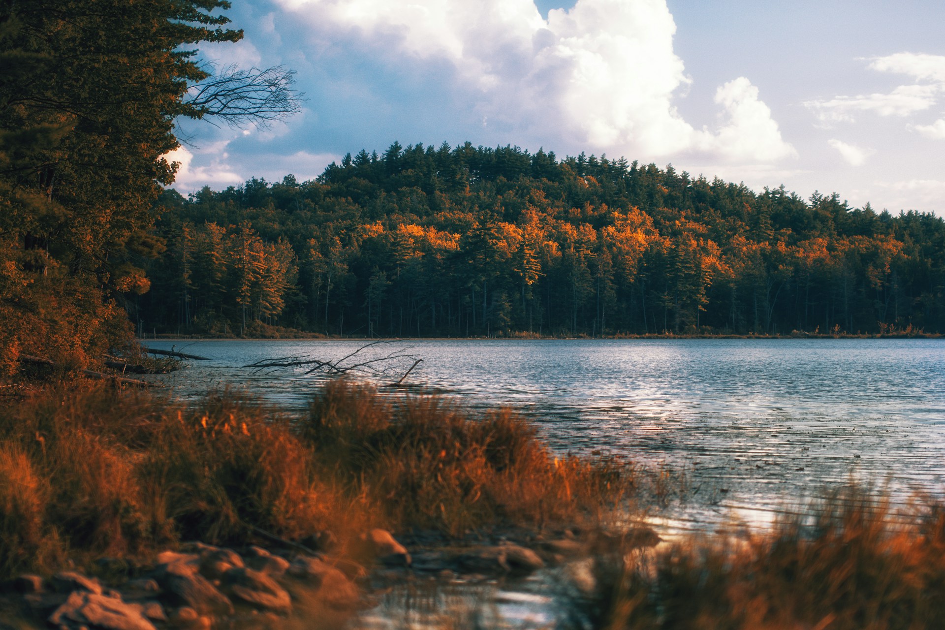 Four Distinct Seasons With Classic New England Fall Four distinct seasons with classic New England fall