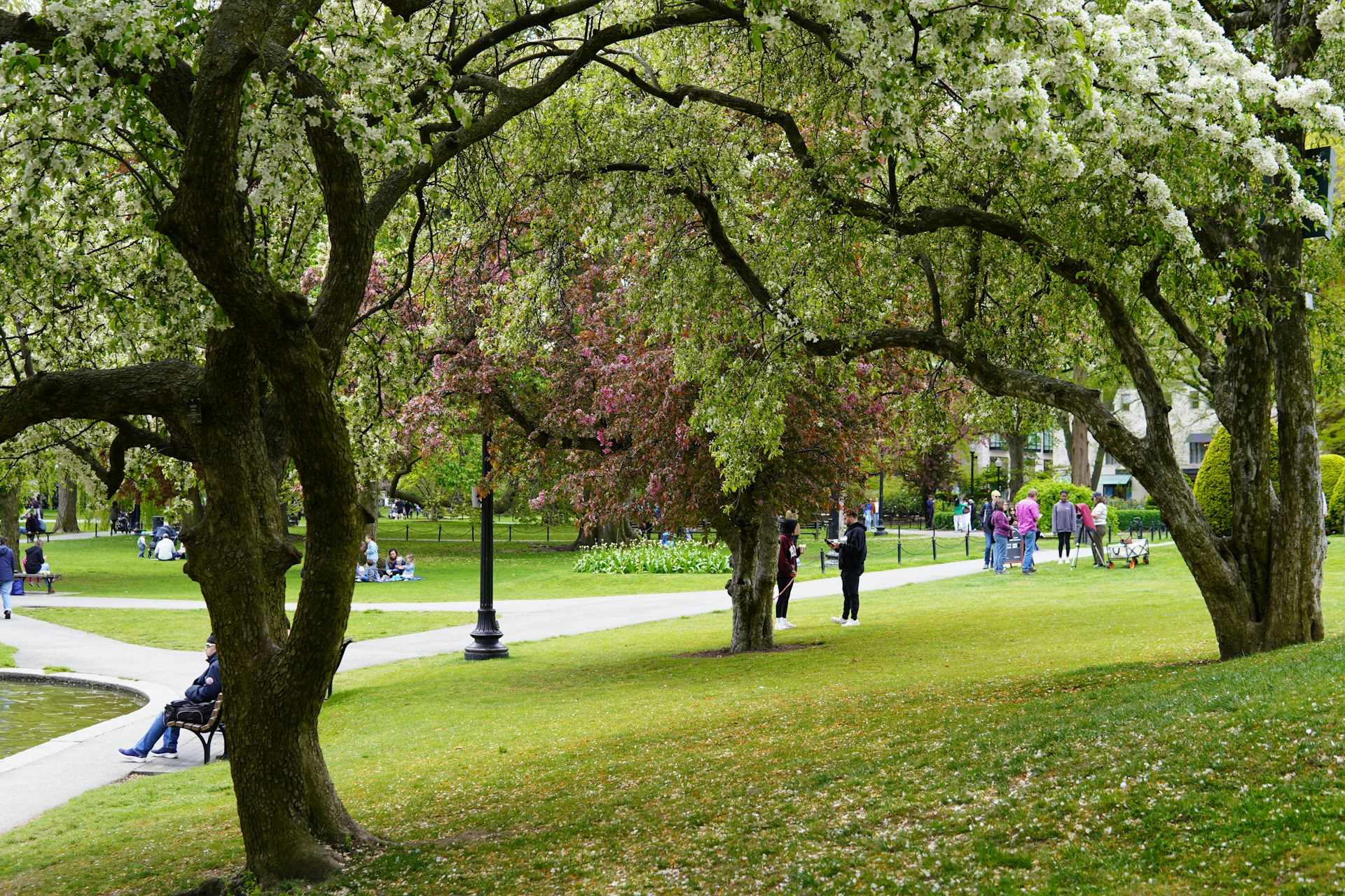 Massachusetts Family Activities