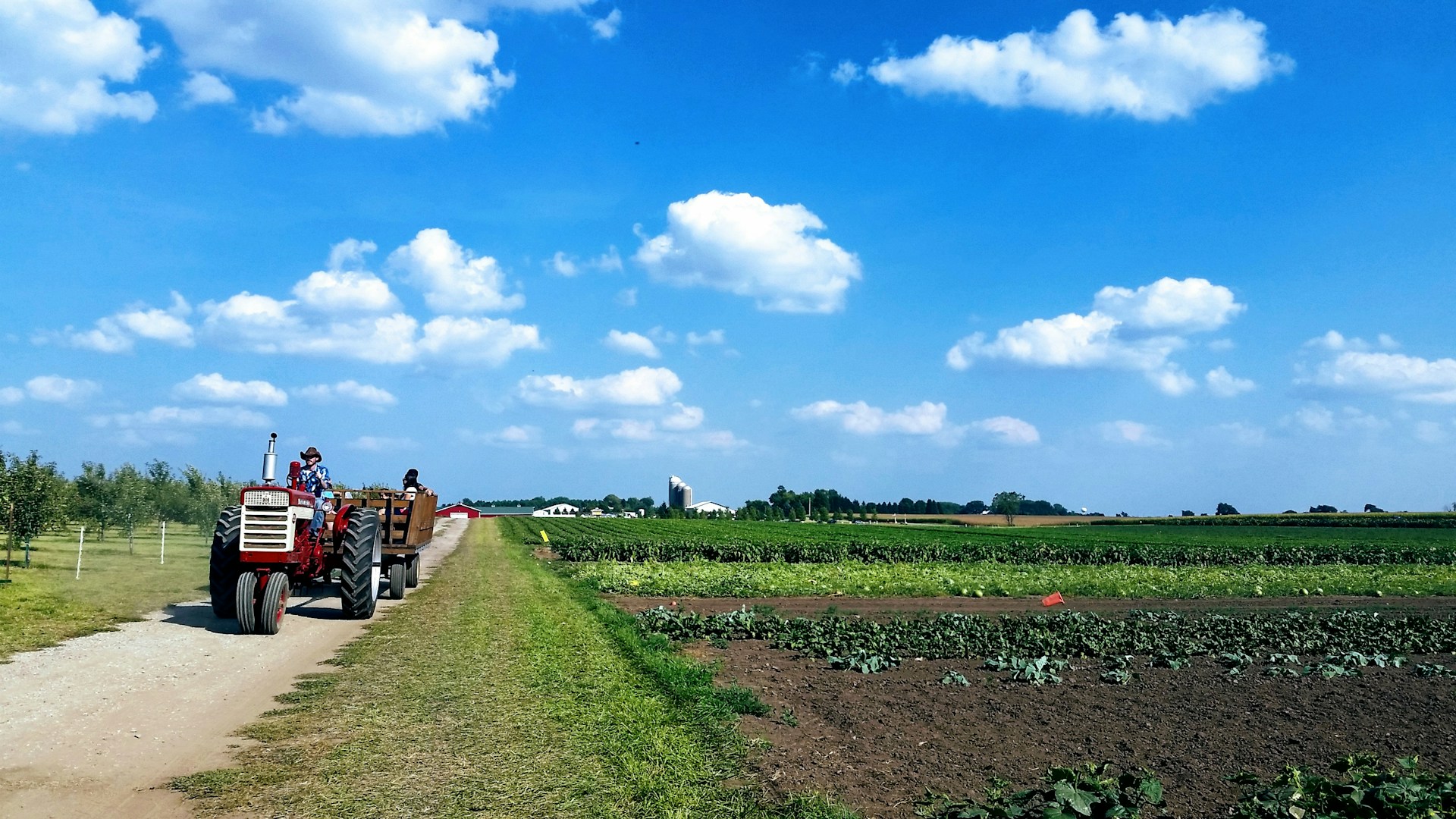 Massachusetts Farms and Local Traditions