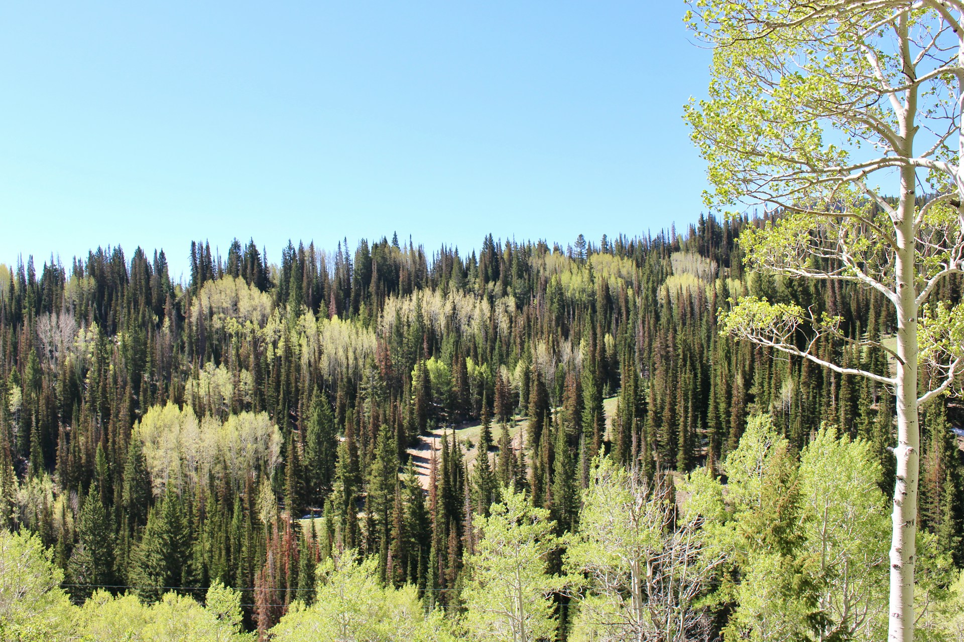 Park City Four Season Outdoors Park City Four-season outdoors